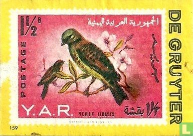 Yemen Arabische Republiek - vogel