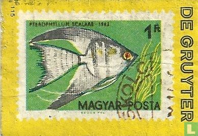Hongarije - vis
