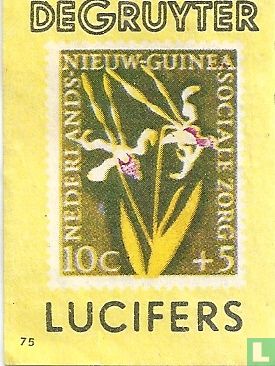 Bloem - Nederlands Nieuw-Guinea