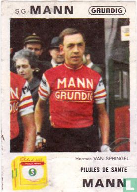 Herman Van Springel
