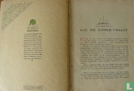 Calve-Delft's zomerboekje - Afbeelding 3