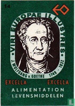 J. Wolfgang v. Goethe 1749 - 1832