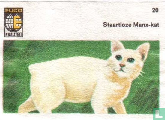Staartloze Manx kat