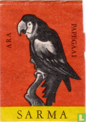 Papegaai - Afbeelding 1