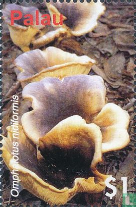 Mushrooms of Oceania  