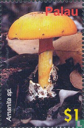 Mushrooms of Oceania 