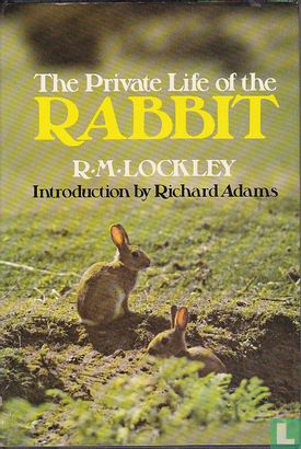 The Private Life of the Rabbit - Bild 1