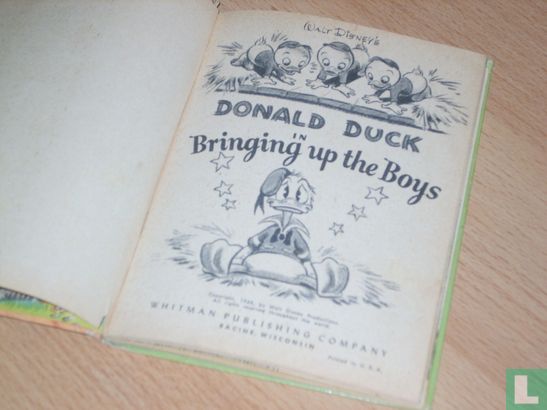 Donald Duck in Bringing up the boys - Image 3
