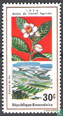 Year of agricultural work