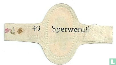 Sperweruil - Afbeelding 2