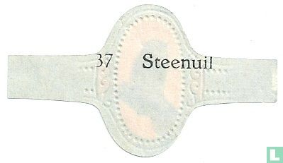 Steenuil - Afbeelding 2