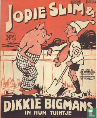 Jopie Slim & Dikkie Bigmans in hun tuintje 6 - Image 1