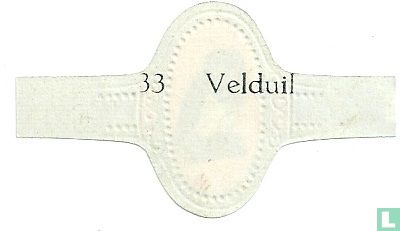 Velduil - Image 2