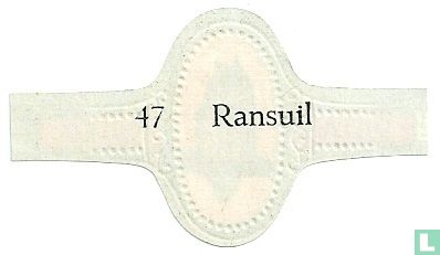 Ransuil - Afbeelding 2