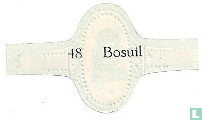 Bosuil - Afbeelding 2