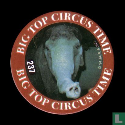 Zirkuszelt Circus Zeit - Bild 1