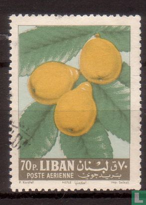 Fruits