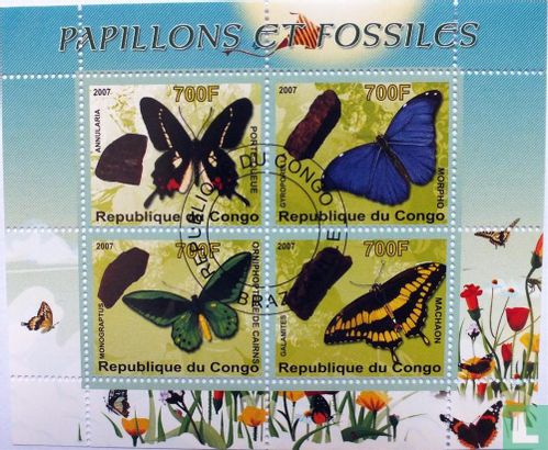 Butterflies and Fossils