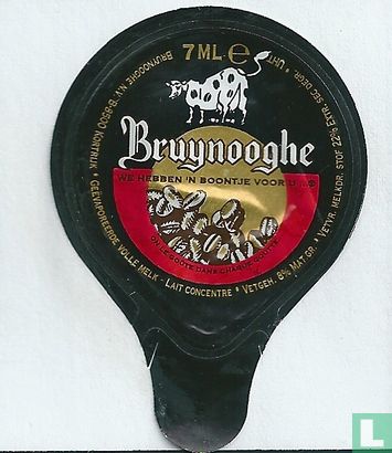 Bruynooghe 