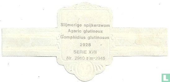 Slijmerige spijkerzwam - Gomphidius glutinosus - Afbeelding 2