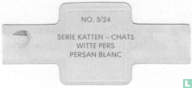 Persan blanc - Image 2