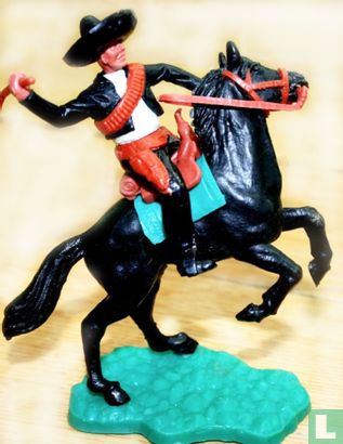 Mexican horse 