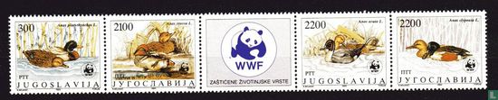 WWF-Enten