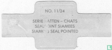 Siamois seal pointed  - Image 2