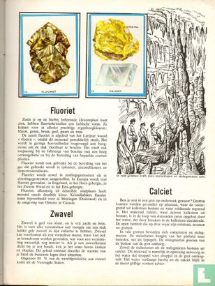 Gesteenten en mineralen - Bild 3