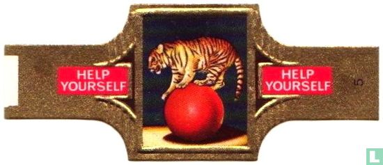 Tijger - Afbeelding 1