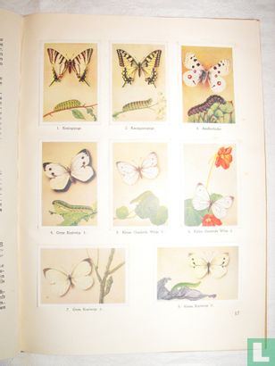 Van rupsen en vlinders - Image 3