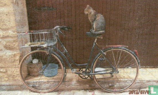 Kat op fietszadel