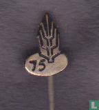 75