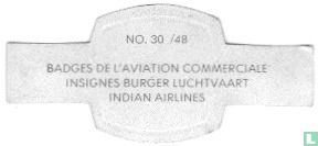Indian Airlines - Bild 2