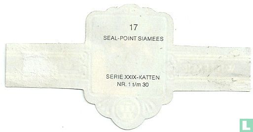 Seal - Point Siamees - Bild 2