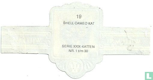 Shell Cameo kat - Afbeelding 2