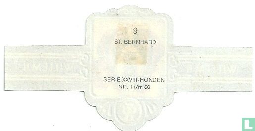 St. Bernhard - Bild 2