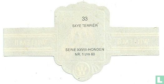 Skye Terriër - Afbeelding 2