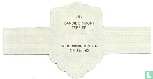 Dandi Dinmont Terriër - Afbeelding 2