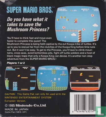 Super Mario Bros.  - Bild 2