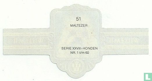 Maltezer - Image 2