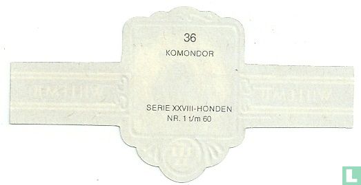 Komondor - Image 2
