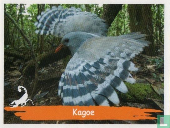 Kagoe - Afbeelding 1