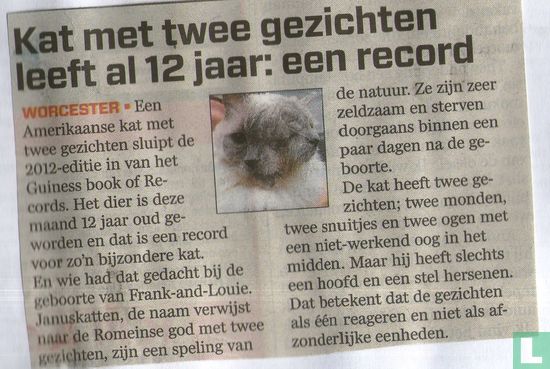 Kat met 2 gezichten leeft al 12 jaar: een record
