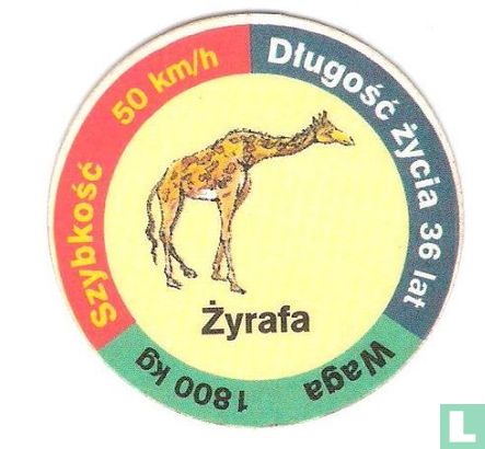 Żyrafa - Afbeelding 1