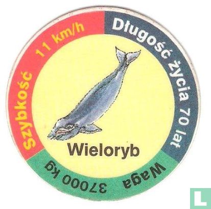 Wieloryb - Afbeelding 1
