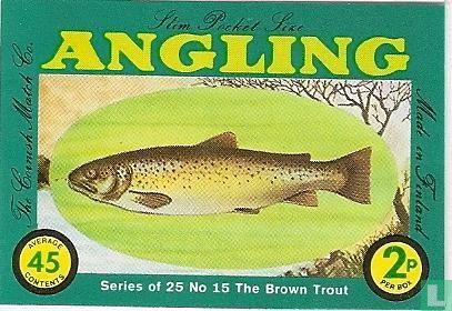 Brown Trout, the