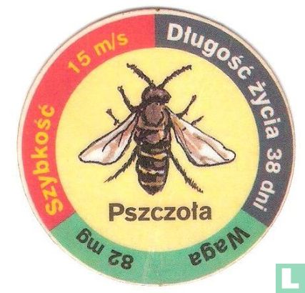 Pszczota - Afbeelding 1