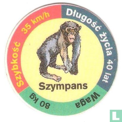 Szympans - Bild 1