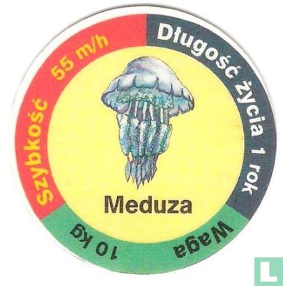 Meduza - Afbeelding 1